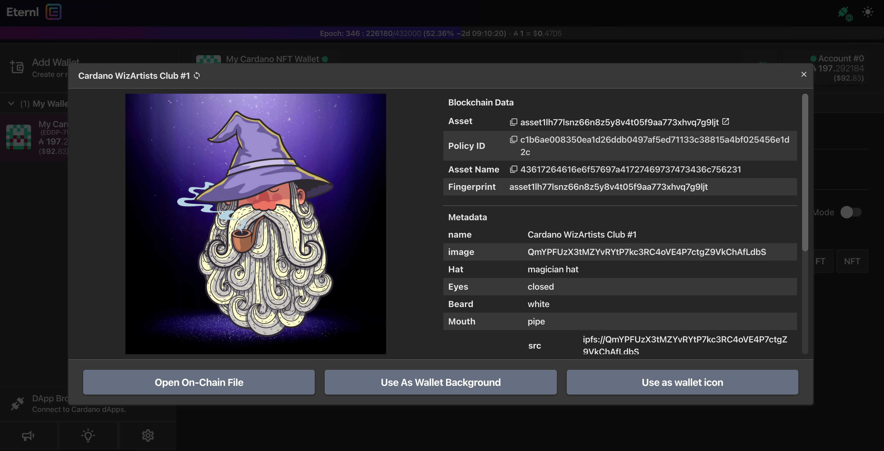 View NFT in Eternl Wallet